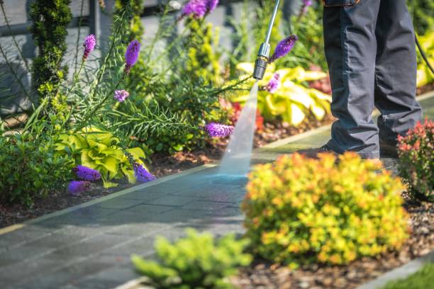 Best Restaurant Pressure Washing  in Southside, AR
